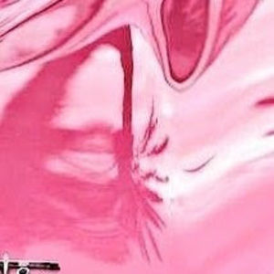 Meet your Posher, Petra